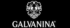logo-galvanina