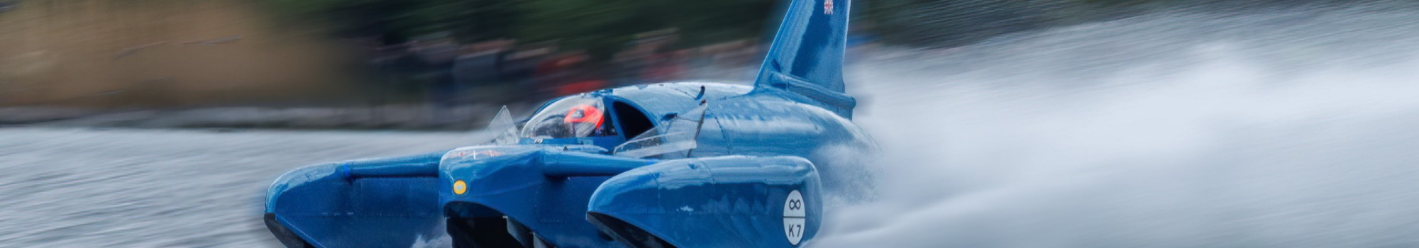 banniere bluebird